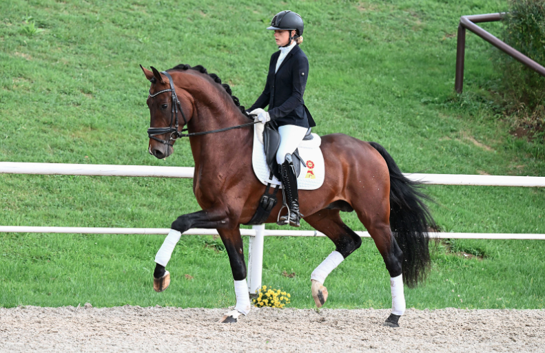 DSP: Dik 160.000 euro voor Vitalis-zoon featured image