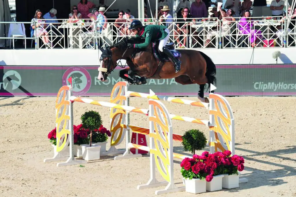 Flanders Foal Auction introduceert embryo’s in Slowakije featured image