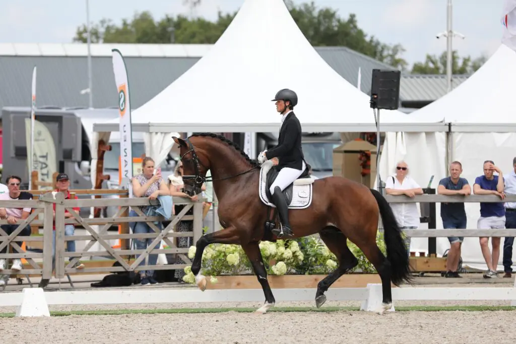 Heidi Humphries koopt NRPS-kampioen Topgun voor Adrienne Lyle featured image