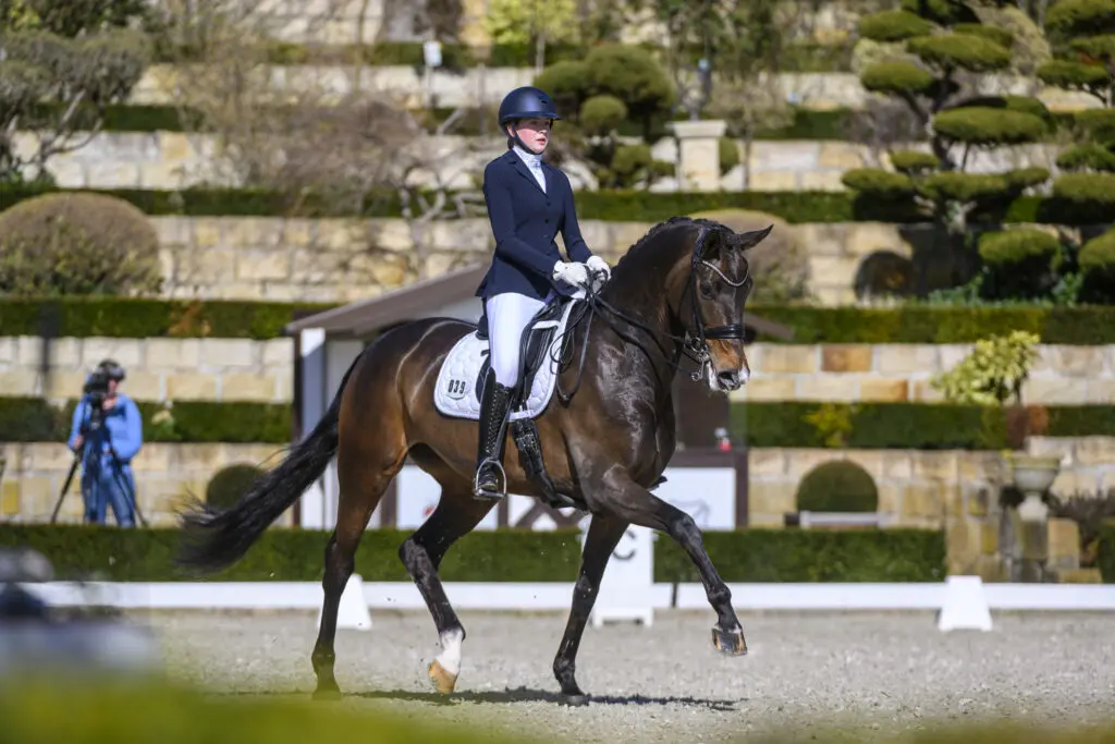 21 Hannoveraners krijgen achtervoegsel FRH featured image