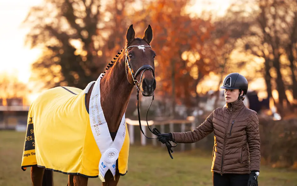 Drievoudig hengstenmoeder Starlight is Hannoveraanse Merrie van het Jaar featured image