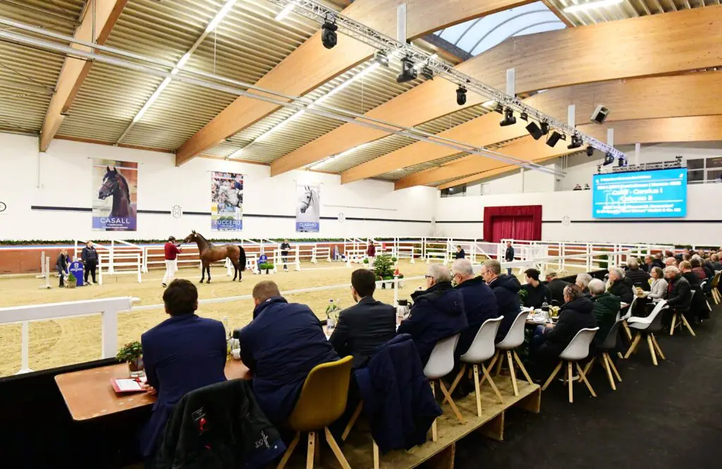 Holsteiner voorjaarskeuring: Rhino zorgt voor afgelasting hengstenshow, keuring en veiling gaan wel door featured image