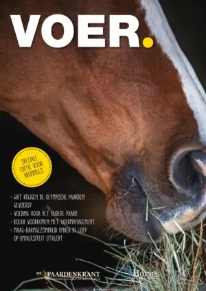 VOER. 2024