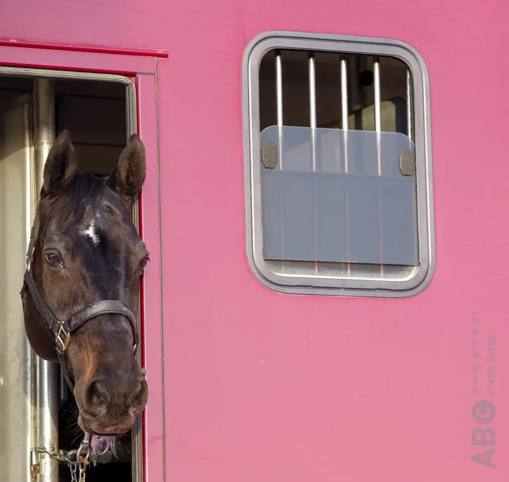 Column Rick Helmink: Affordability featured image