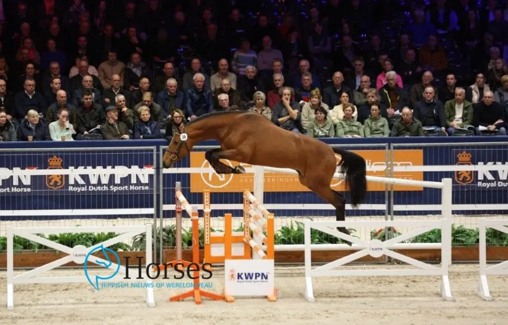 KWPN verrichtingsonderzoek: Vijf springhengsten naar huis featured image