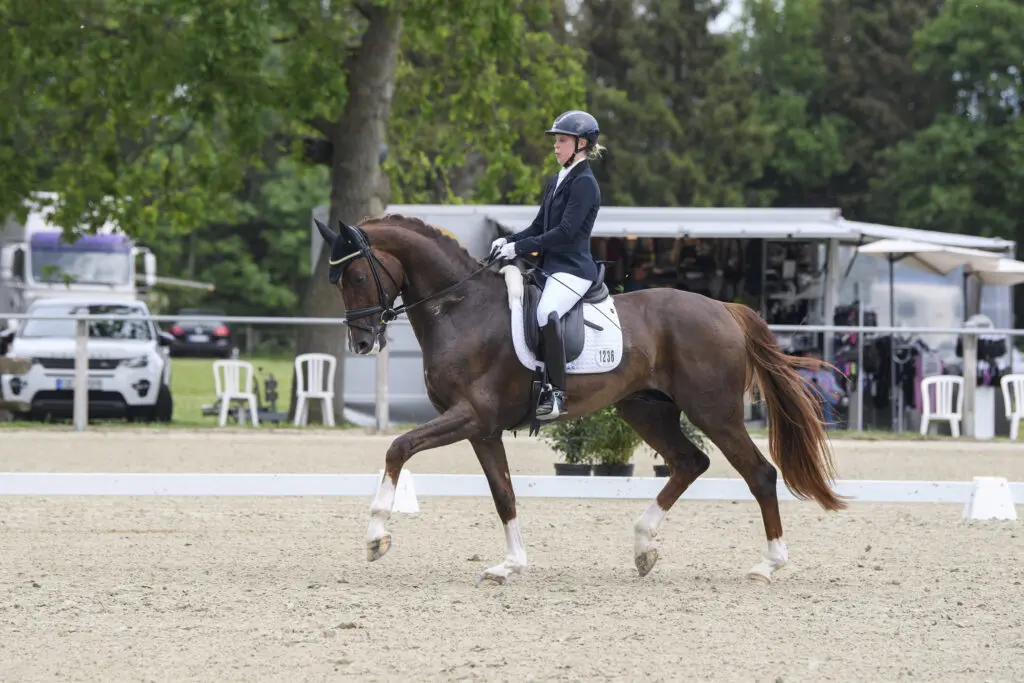 Oldenburger kampioen Bellany wint nationale Lichte Tour voor zeven- tot negenjarigen in Ankum featured image