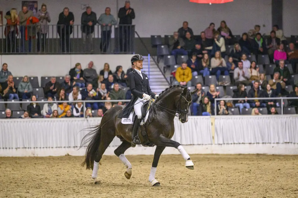 Twintig nieuwe FRH-paarden featured image
