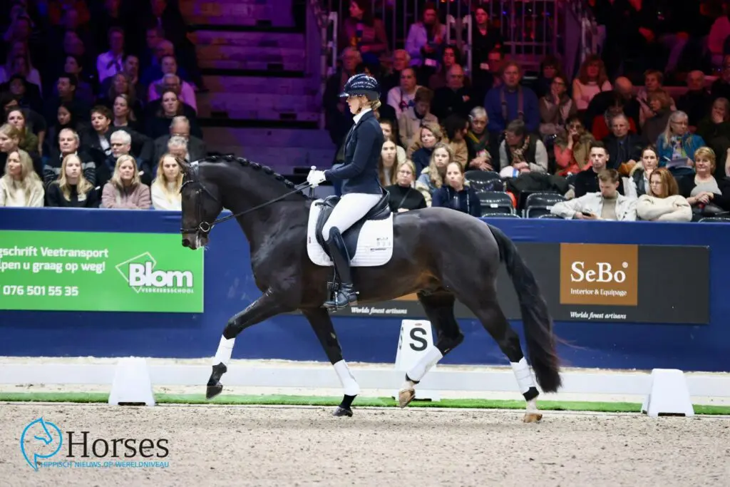 KWPN-premiehengst Rayano niet naar hengstencompetitie Kronenberg featured image