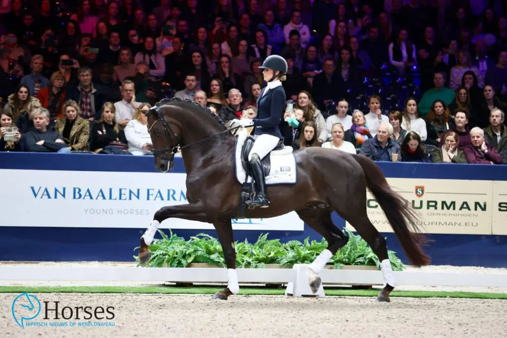 Startlijst Hengstencompetitie Dressuur Kronenberg bekend featured image