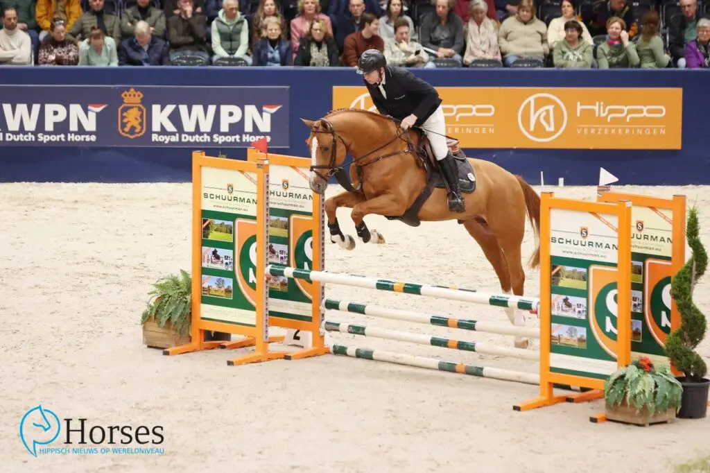 In Beeld: presentatie springhengsten goedgekeurd in 2024 featured image