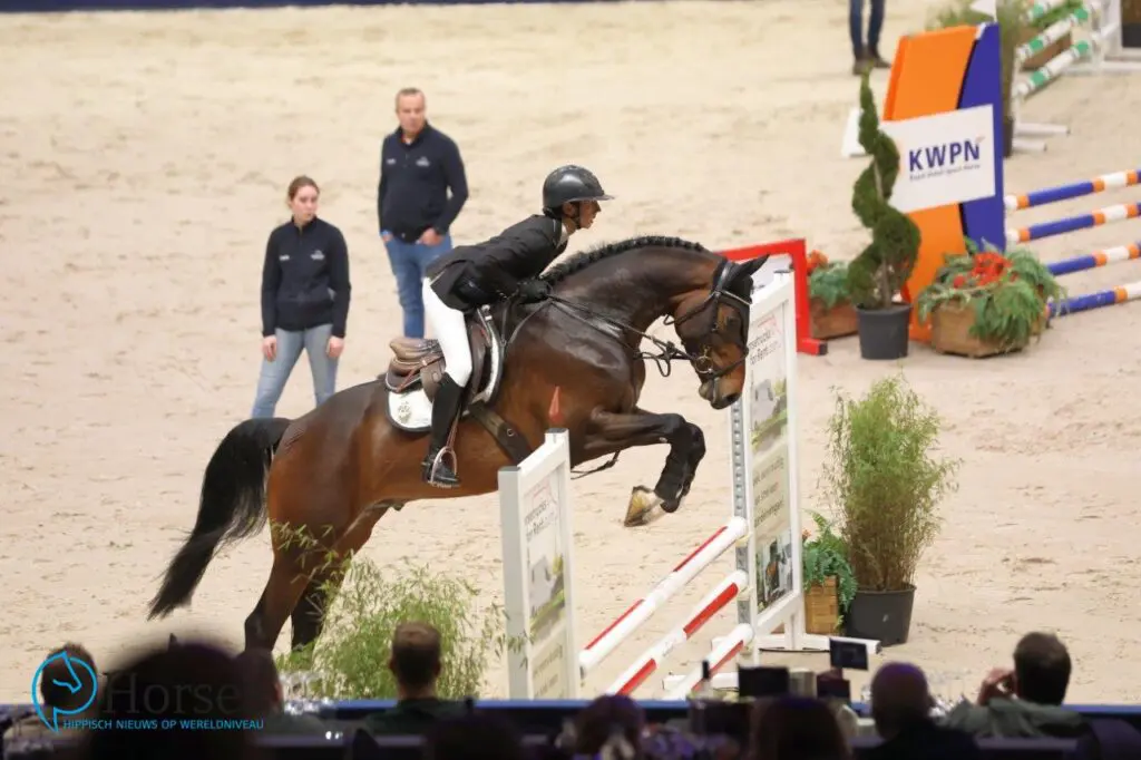 KWPN-hengst Rich and Royal wint vierjarigen-kampioenschap in Dublin featured image