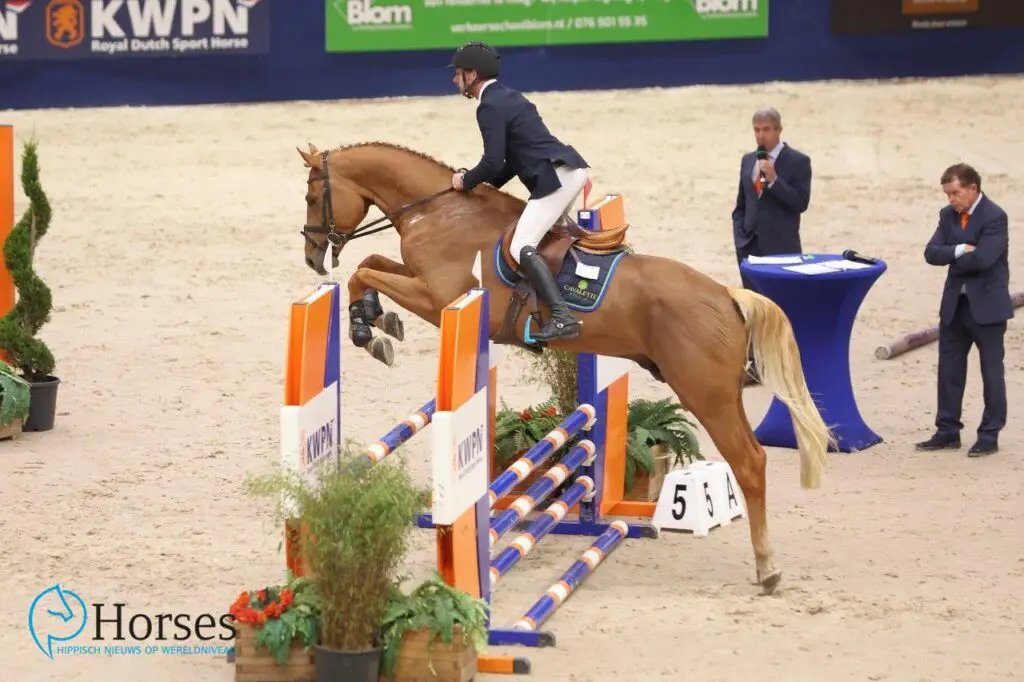 KWPN-hengst Ruzgar VII S verkocht naar Canada featured image