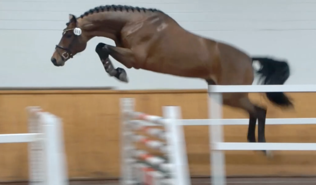 Cool Touch naar hoogste score in minitest Vechta featured image