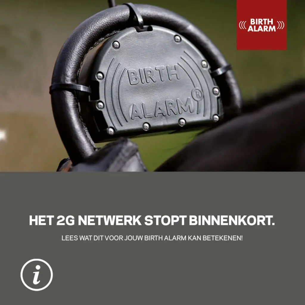 2G verdwijnt in 2025 – Upgrade uw Birth Alarm nu naar 4G om verzekerd te blijven van een werkend Birth Alarm featured image