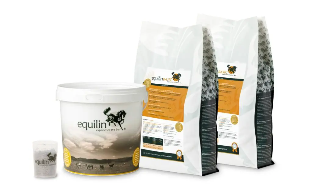 Wist je dat paarden ‘hindgut fermenteerders’ zijn? featured image