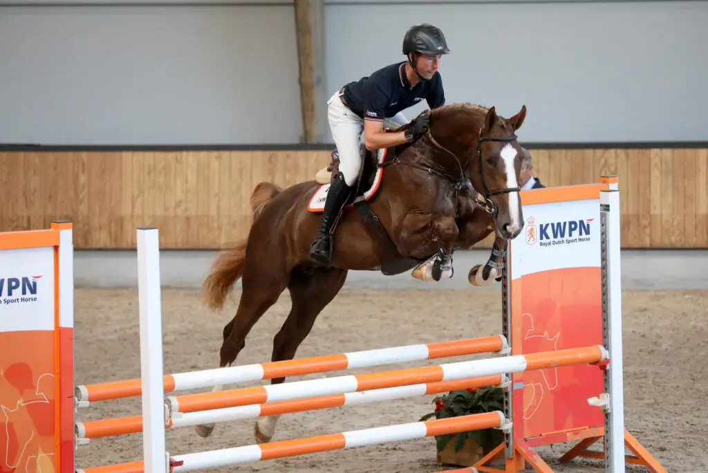 Rising Aranix (Aganix du Seigneur x Echo van 't Spieveld) FOTO PAARDENKRANT/MELANIE BREVINK-VAN DIJK