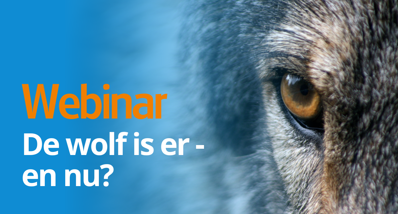 webinar de wolf is er - en nu?