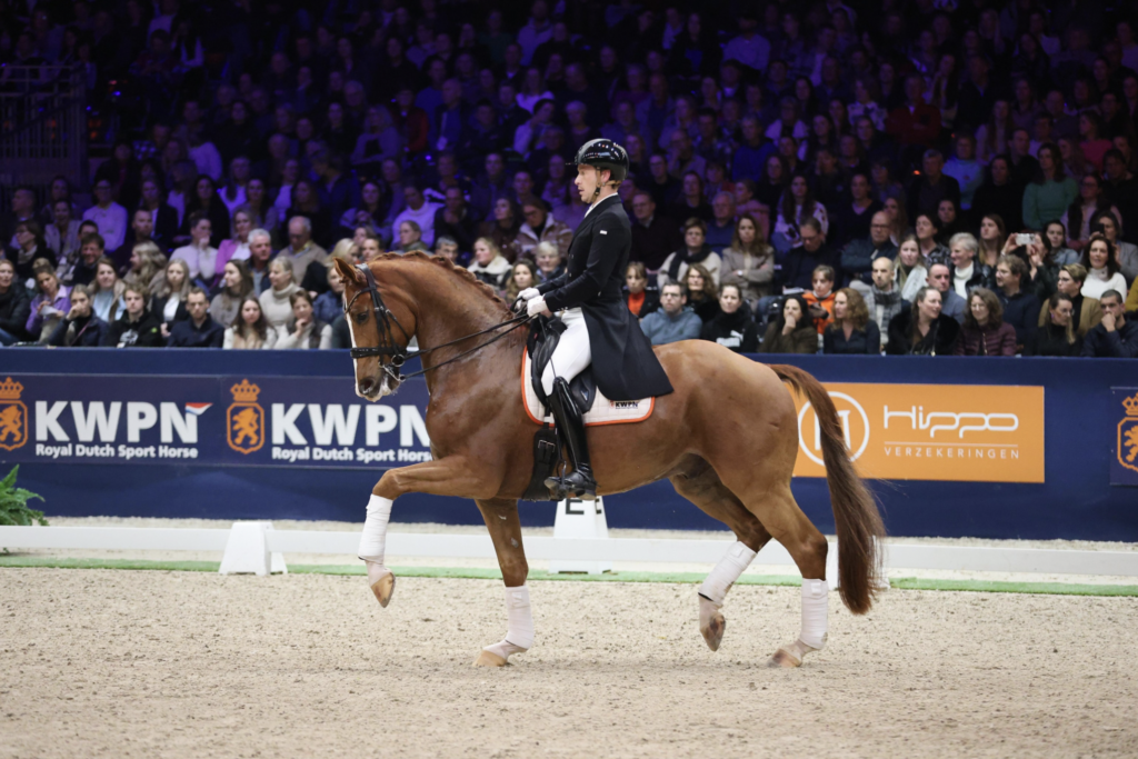 Ruijgrok: ‘Ik ben na de hengstenkeuring overspoeld met reacties’ featured image