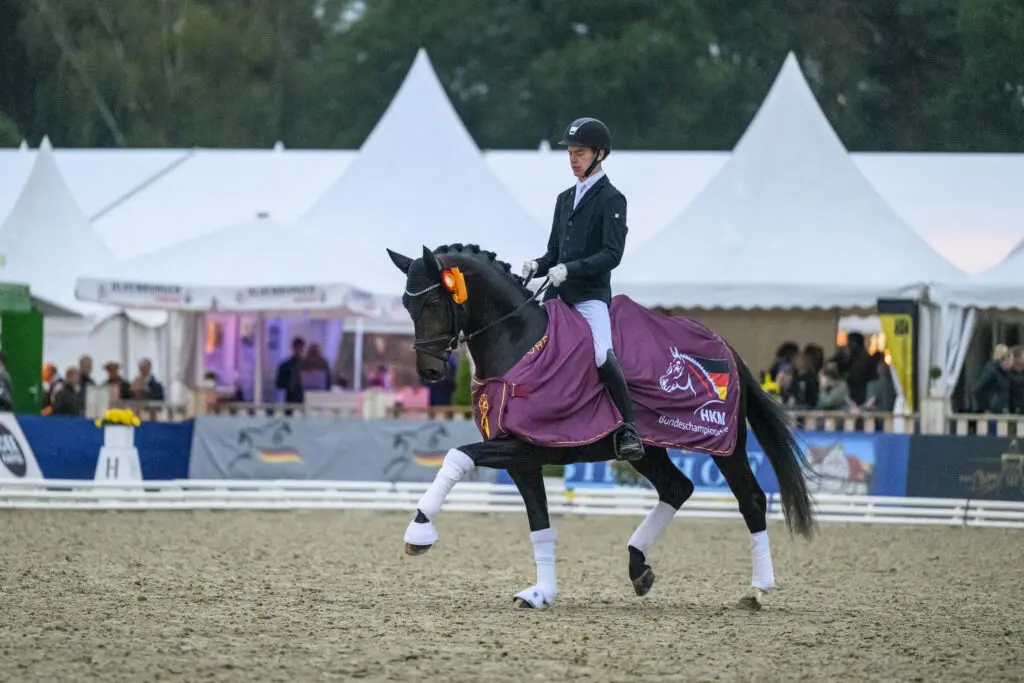 Weltmeyer Preis voor twee dressuurhengten, Stakkato Preis voor drie springhengsten featured image