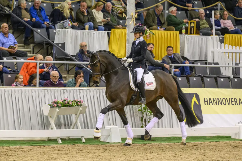 Sir Gribaldi scoort 9,01 in allerlaatste sporttest featured image