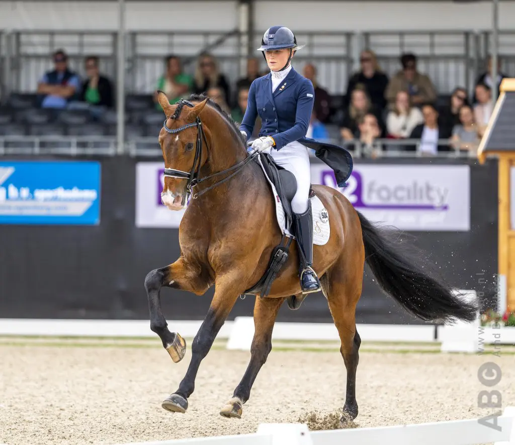 Gepensioneerd Grand Prix-paard Cupido naar junior featured image