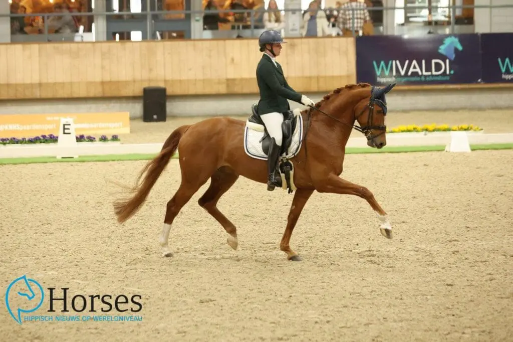 Indoor Friesland: Anniek van Dulst aan kop bij young riders featured image
