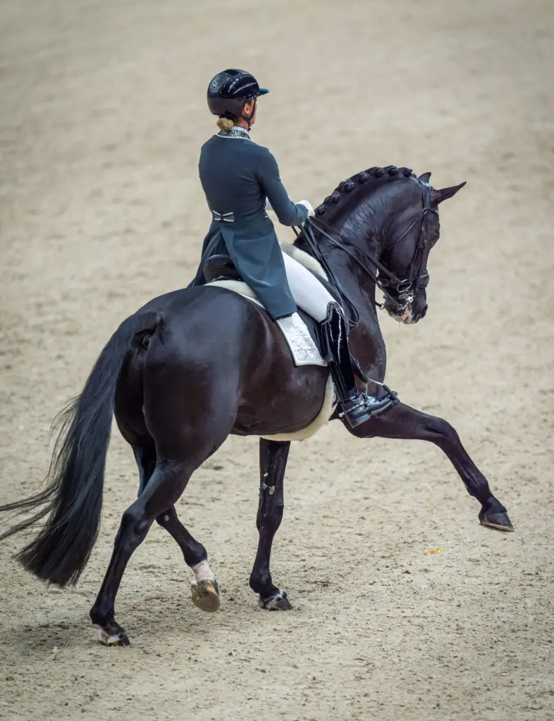 Indoor Friesland: Dinja van Liere en Imposantos naar winst met 69% featured image