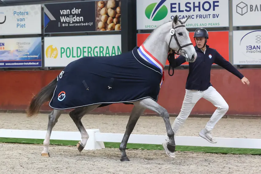 Next Level en Cumano leveren NRPS-kampioenen, 41 hengsten naar verrichtingsonderszoek featured image