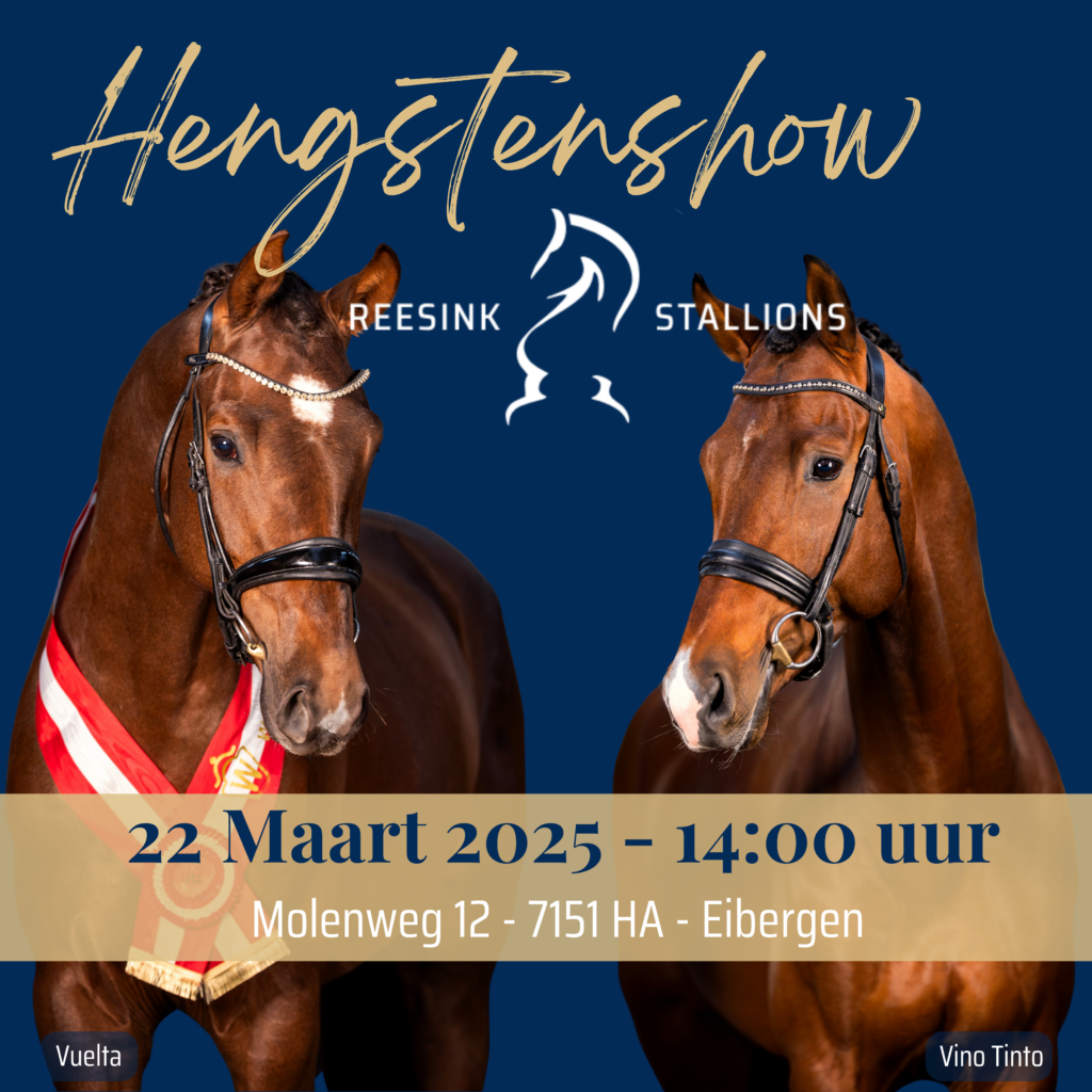 Aanstaande zaterdag hengstenshow bij Reesink Stallions in Eibergen featured image