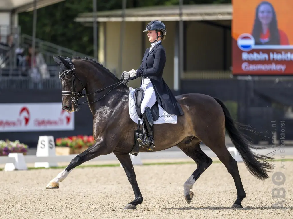 Viervoudig EK-paard Gasmonkey verder onder nieuwe amazone featured image