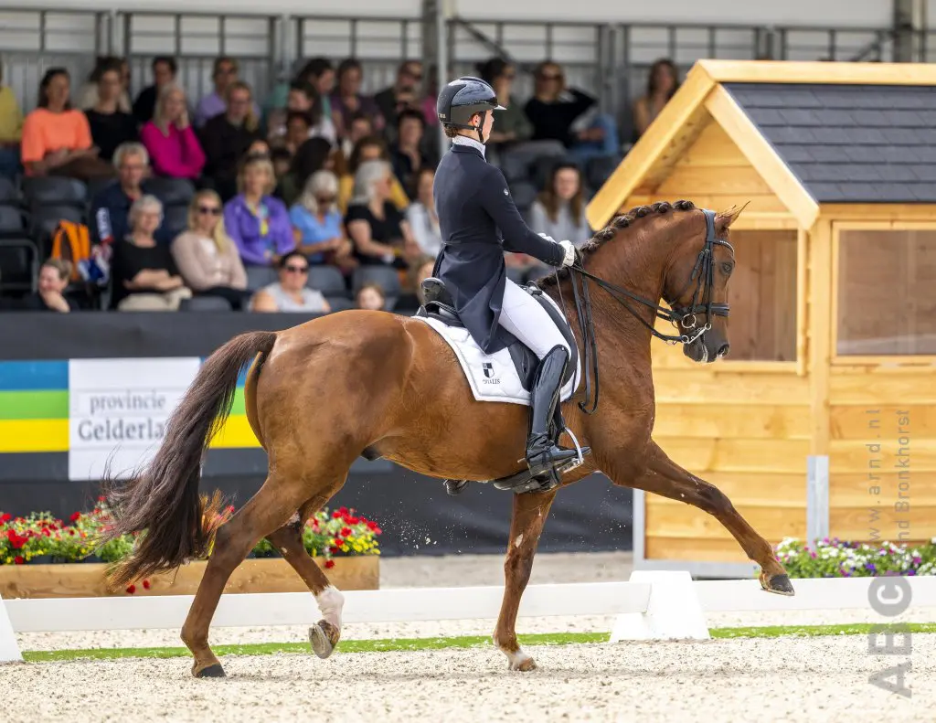 Robin Heiden met Hollywood derde in U25 kür Herning featured image