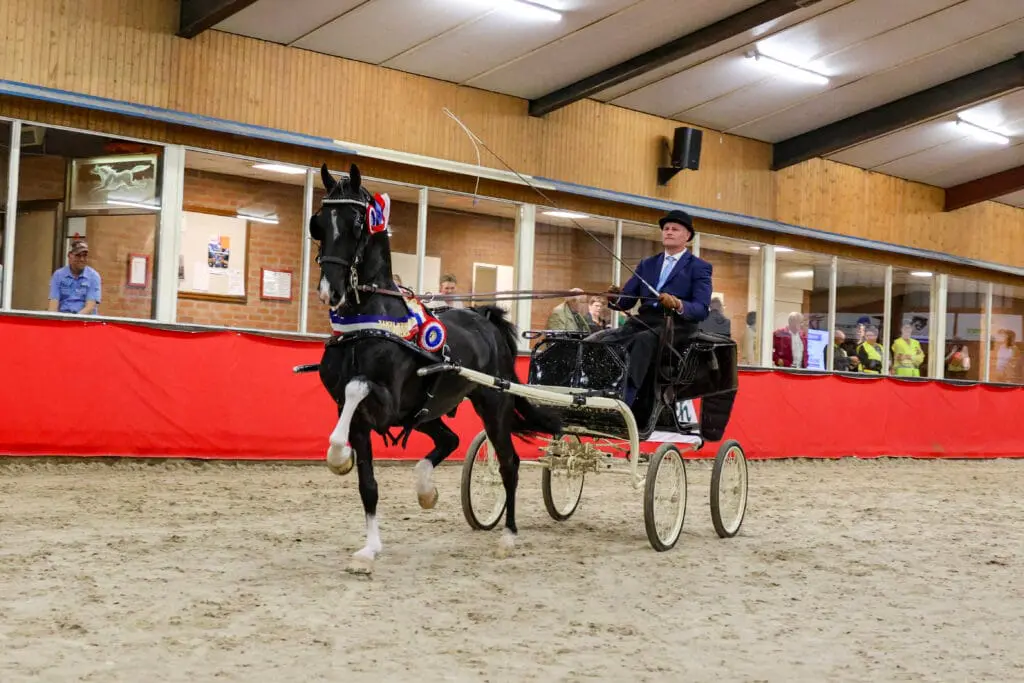 Een spectaculair evenement voor Paardenliefhebbers! featured image