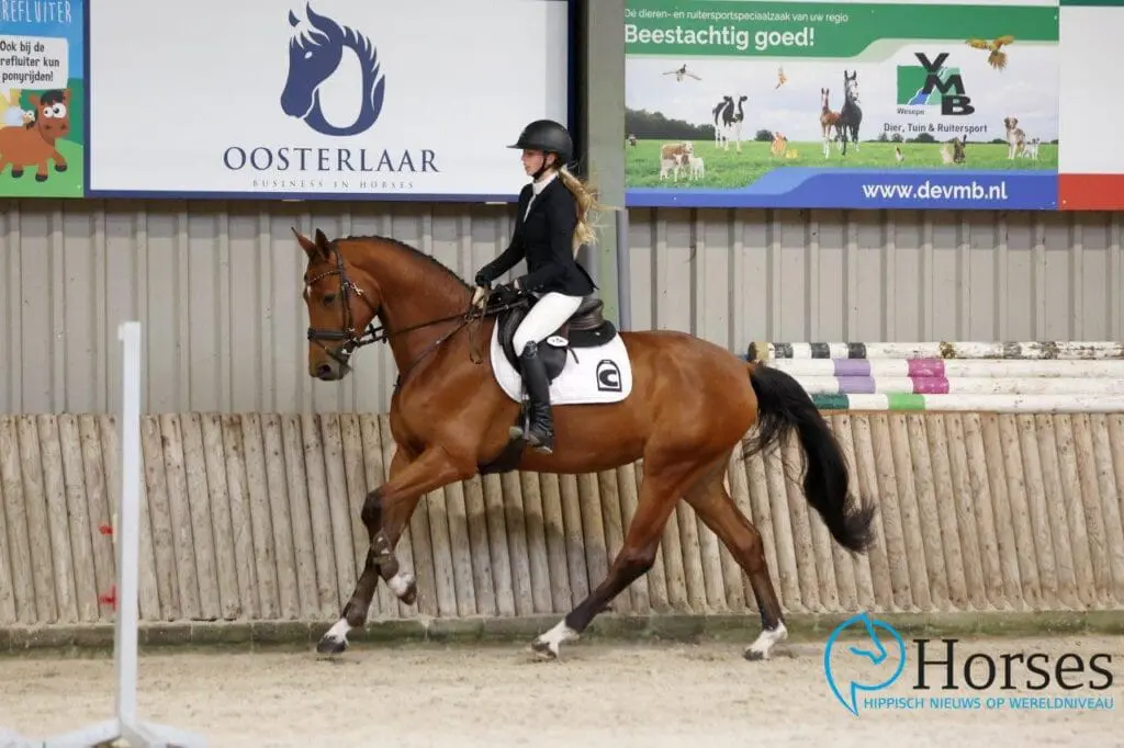 IBOP Luttenberg: Eldorado van de Zeshoek-dochter topscoorder featured image