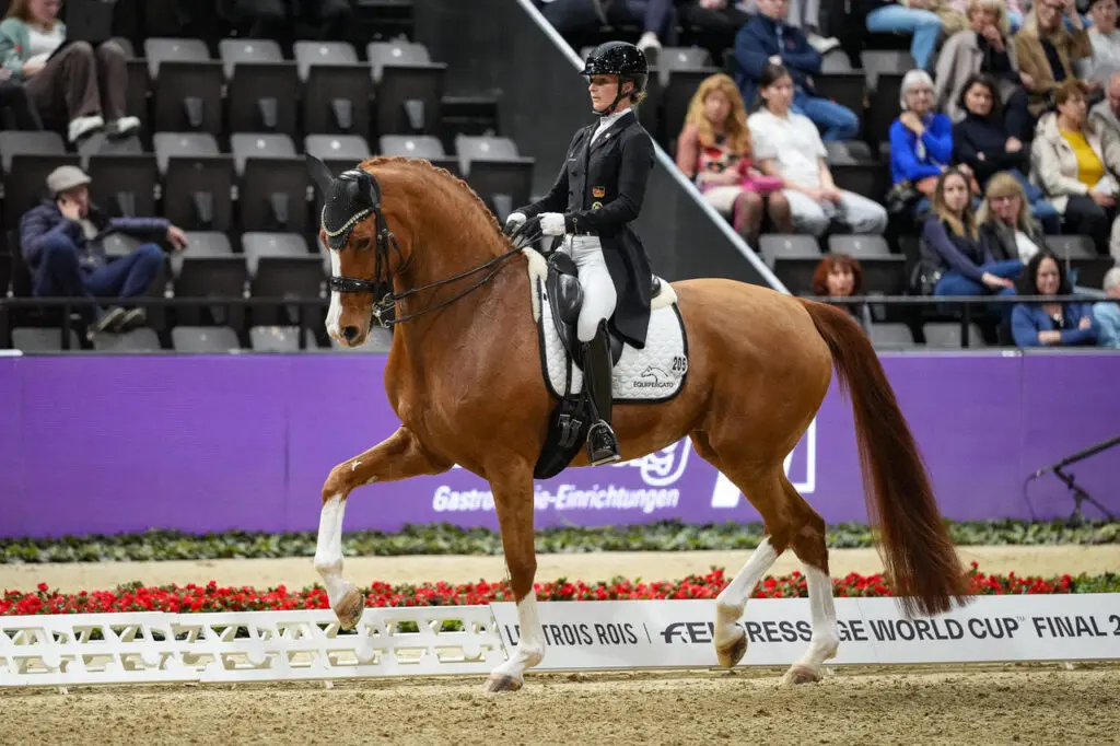 Grand Prix-merrie Florine OLD vertrekt bij Nowag-Aulenbrock featured image