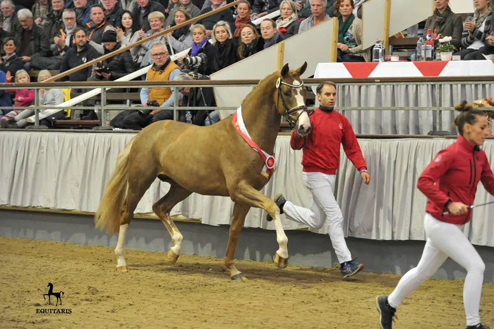 Borghese MT naar Kira Laura Soddemann featured image