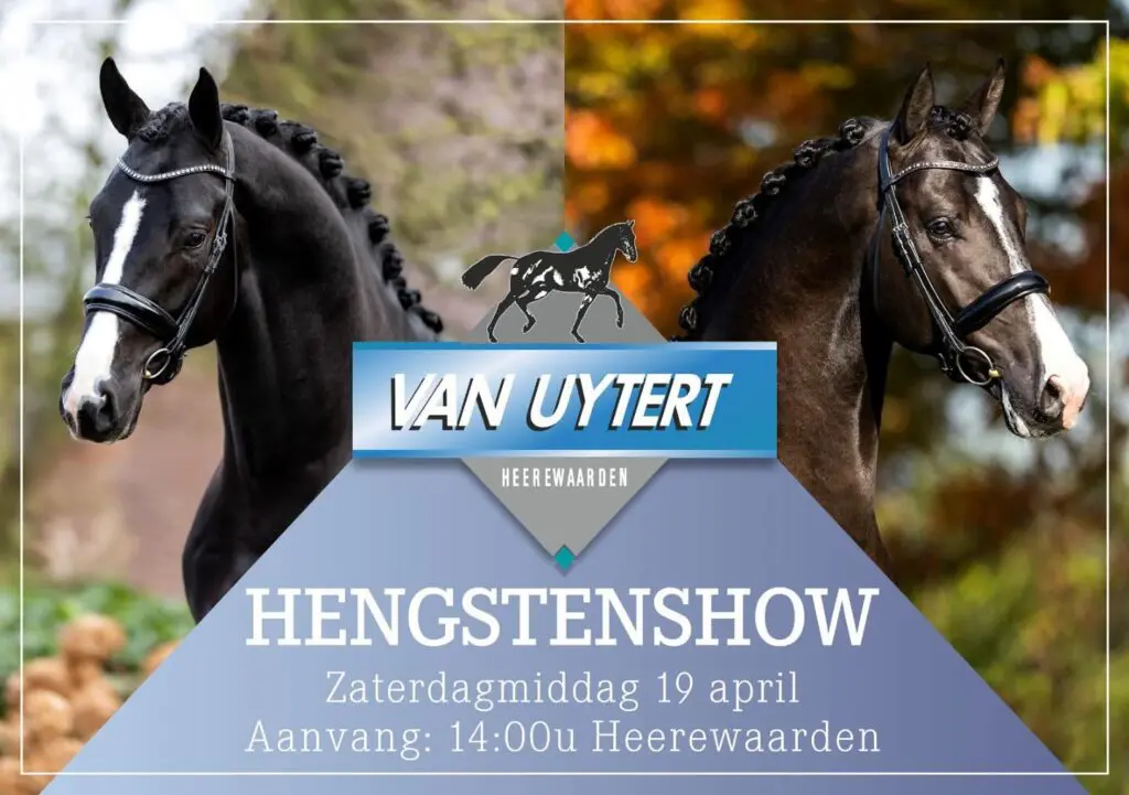 Van verwachte toppers tot bewezen legendes – de hengstenshow van Van Uytert is het podium! featured image