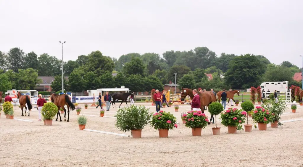 Holstein geeft voorbeeld met centralisatie keuringen en sterrensysteem featured image