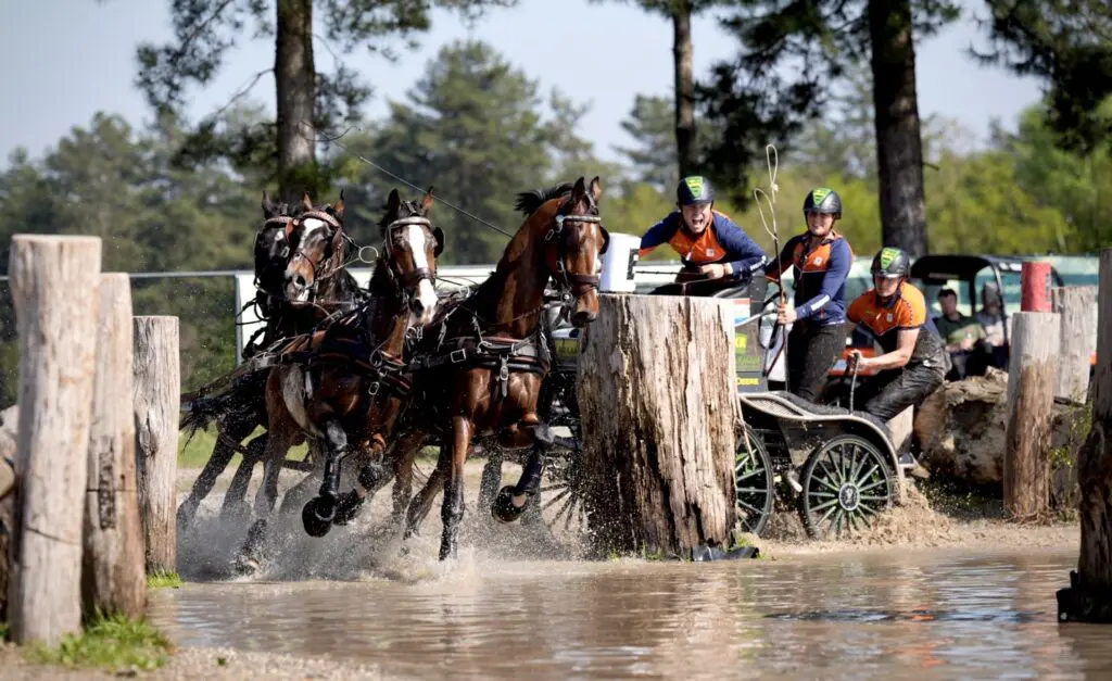 Bram Chardon opnieuw Nederlands Kampioen vierspanrijden featured image