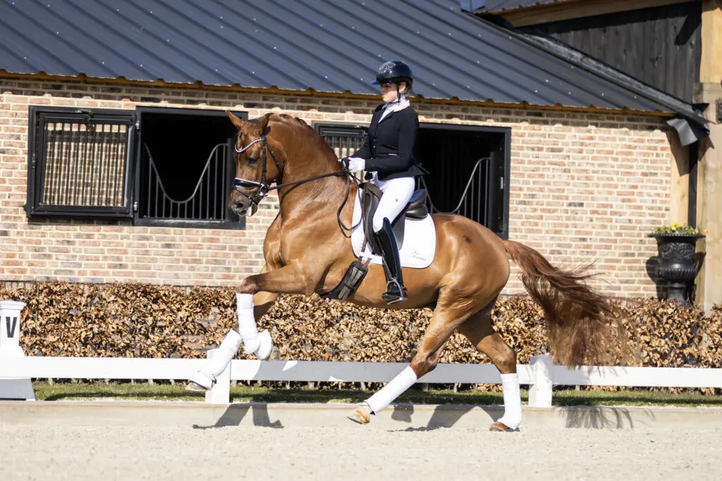 Rayabel S en Pitch Perfect bovenaan in Subli Competitie Delft featured image