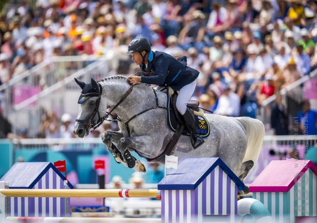 Olympische hengst Zuccero HV van Bengtsson naar Weishaupt featured image