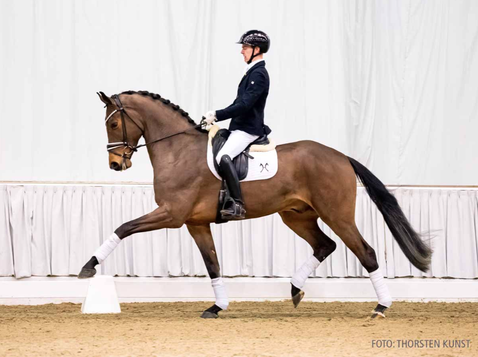 Hannover: 79.000 euro en 74.000 euro voor zonen van V-Plus featured image