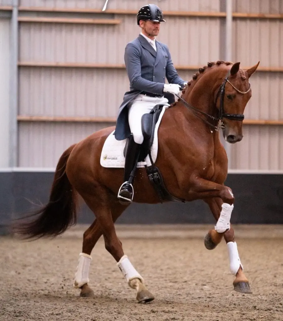 Theo Hanzon en Lucky Man Sollenburg stromen succesvol door naar de Inter II: ‘Ik zie echt een Grand Prix paard in hem’ featured image