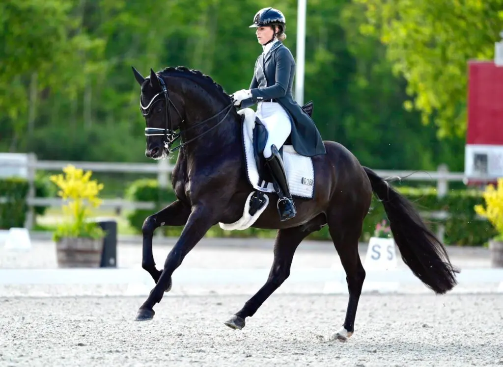 Dinja van Liere en Mauro Turfhorst maken verwachtingen waar in Intermédiaire I featured image