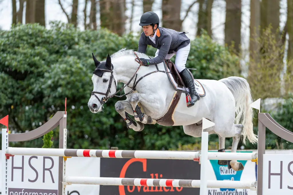 PS Online: 210.000 euro voor vierjarige Cosmos Z x Chacco-Blue featured image