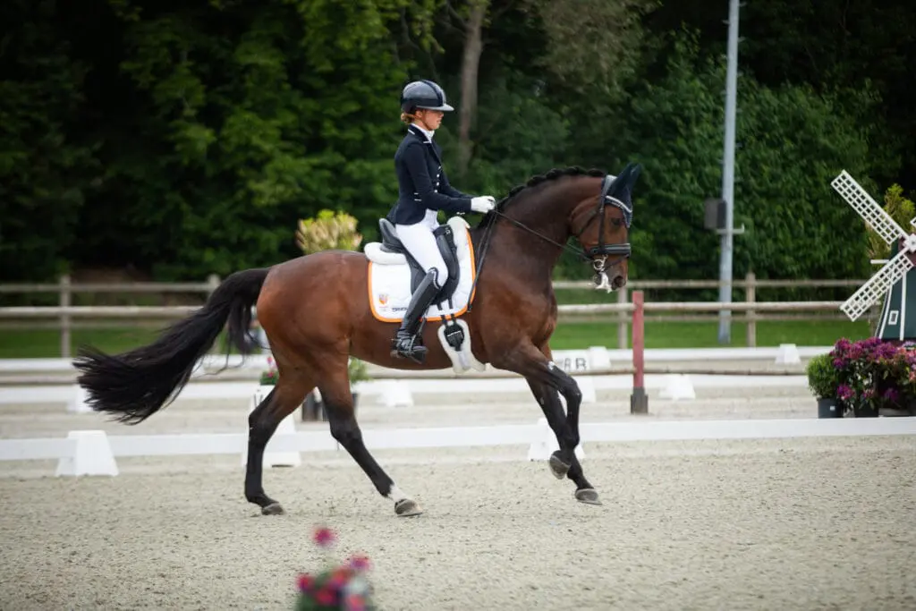 NK Dressuur: Floor Kulik wint eerste onderdeel Children, Bo Leijten dichtbij featured image
