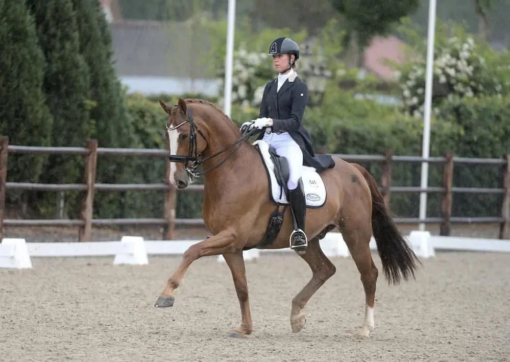 Hattrick voor Margot Arkema en Gavaristo in Gościszów featured image