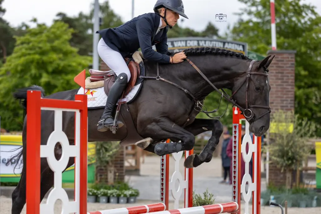 Favorieten tekenen zich af in Stal Hendrix-competitie: Rio de Janeiro GP, Uricana Grace Z en Off the Road aan kop featured image