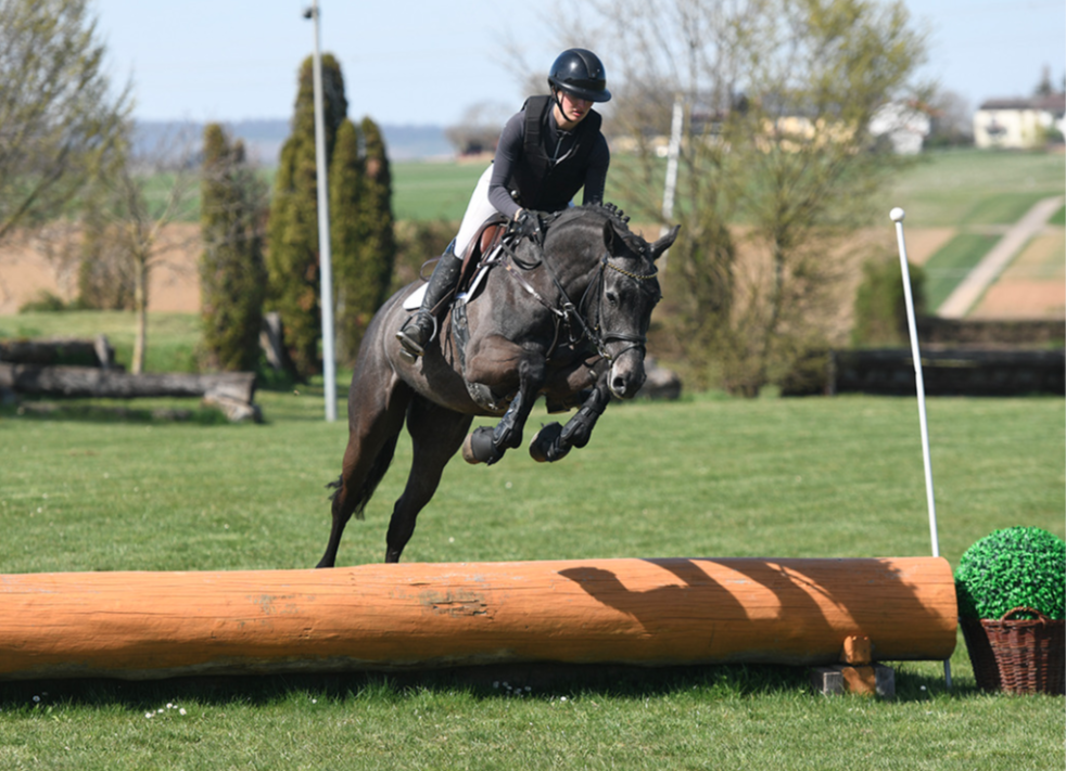 DSP Eventers Auktion: 46.000 euro voor Chac-Boom featured image