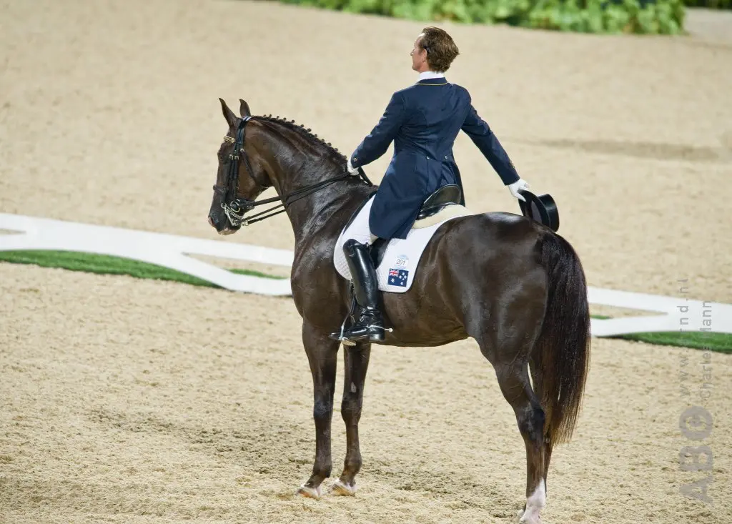 Australische olympiaderuiter slaat paard veelvuldig met zweep, komt met uitgebreide verklaring featured image