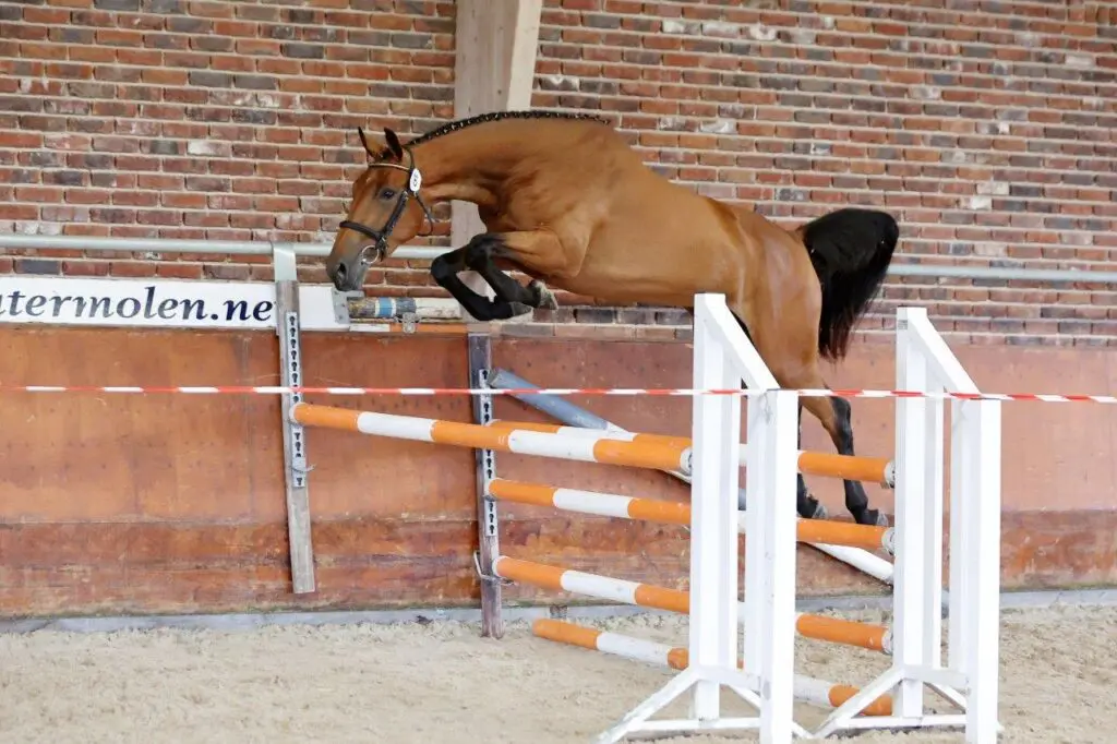 SK Haaksbergen: Drie NMK-tickets vergeven featured image